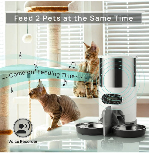 Double Stainless Steel Pet Feeder – Dual Bowl Food Feeder